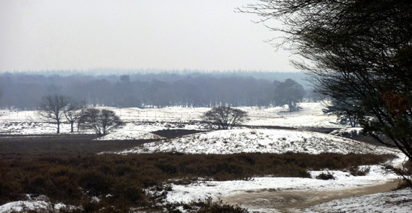 Bij sneeuwval worden de grafheuvels op de Westerheide ineens beter zichtbaar.
